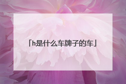 h是什么车牌子的车