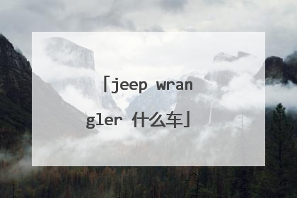 jeep wrangler 什么车