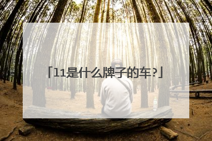 l1是什么牌子的车?