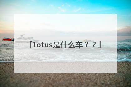 lotus是什么车？？