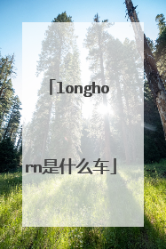 longhorn是什么车