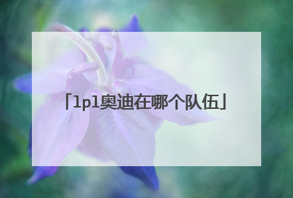 lpl奥迪在哪个队伍