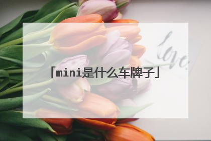 mini是什么车牌子