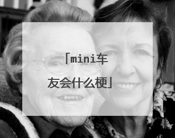 mini车友会什么梗