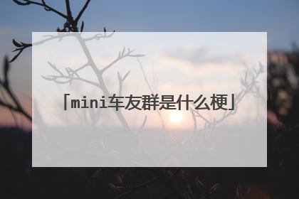 mini车友群是什么梗