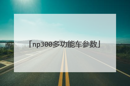 np300多功能车参数