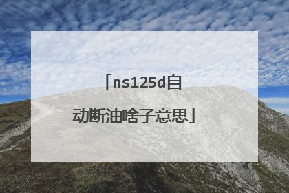 ns125d自动断油啥子意思