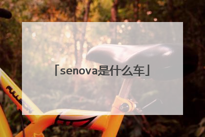 senova是什么车