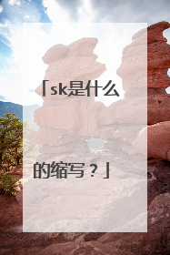 sk是什么的缩写？