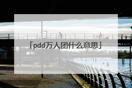 pdd万人团什么意思
