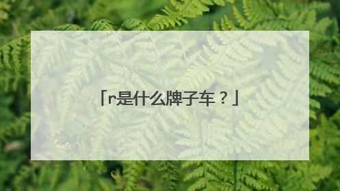 r是什么牌子车？