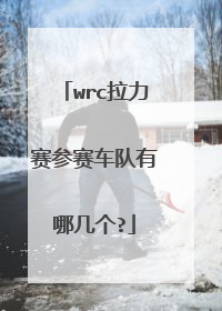 wrc拉力赛参赛车队有哪几个?