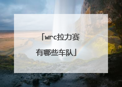 wrc拉力赛有哪些车队