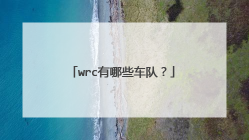 wrc有哪些车队？