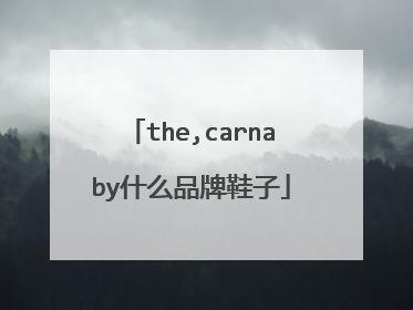 the,carnaby什么品牌鞋子