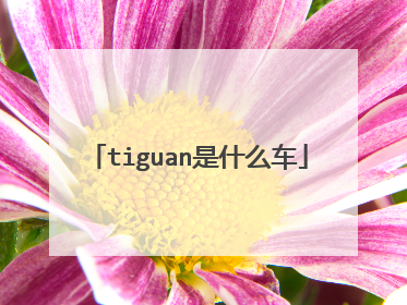 tiguan是什么车