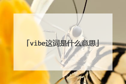vibe这词是什么意思