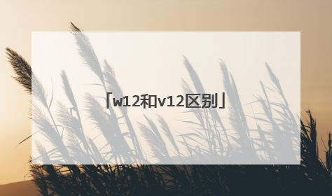 w12和v12区别