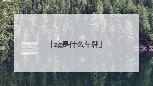 zg是什么车牌